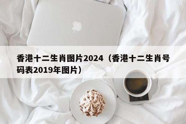 香港十二生肖图片2024(香港十二生肖号码表2019年图片)